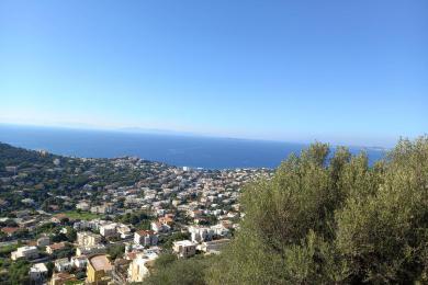 Land προς Sale - SARONIDA, ATTIKI